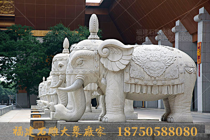 法门寺内石雕大象造型图片和摆放的寓意