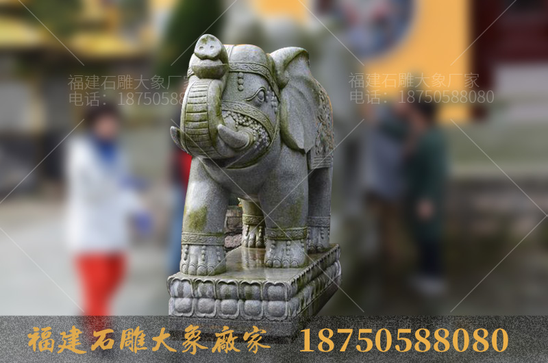 舟山法雨禅寺里的石雕大象造型很特别
