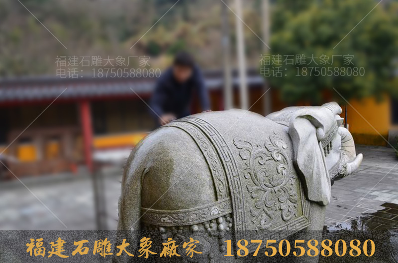 舟山法雨禅寺里的石雕大象造型很特别