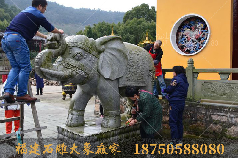 舟山法雨禅寺里的石雕大象造型很特别