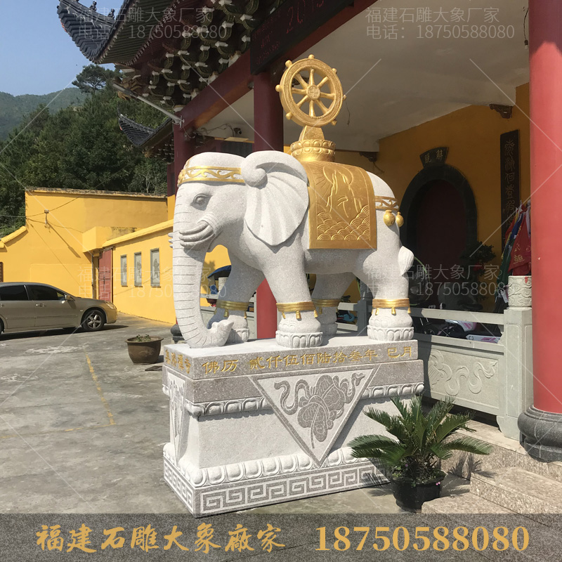 寺庙门口摆放的石雕大象，竟然藏着这么多秘密