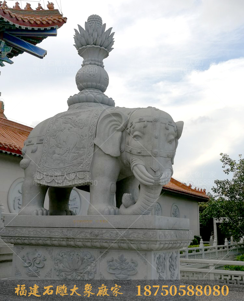 珠海普陀寺内摆放的石雕大象造型各异