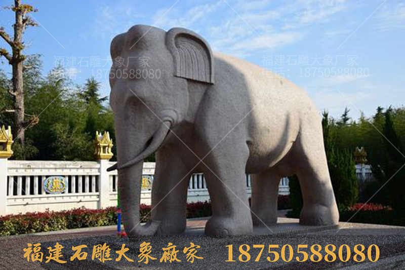 白马寺里的石雕大象造型观后感