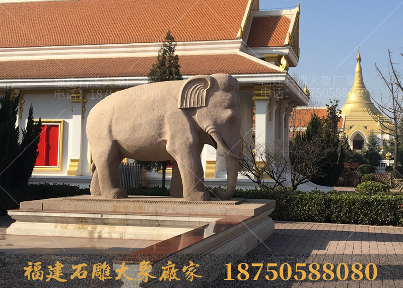白马寺里的石雕大象造型观后感