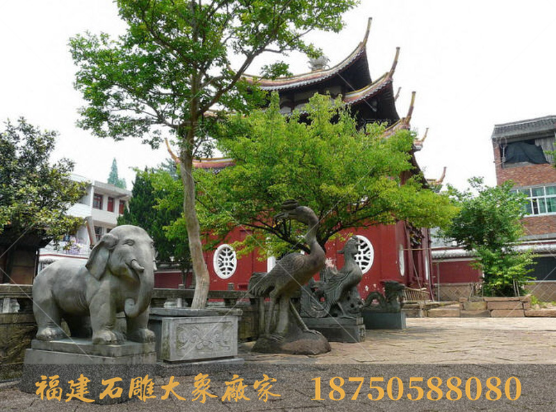 浙江寺庙里的石雕大象造型的观后感