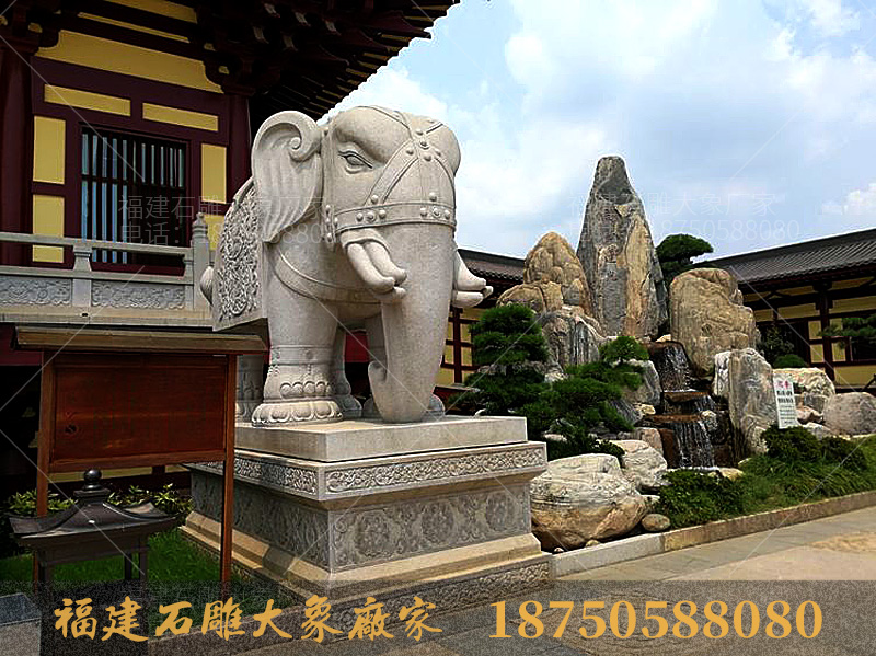 江西石雕大象造型观后感