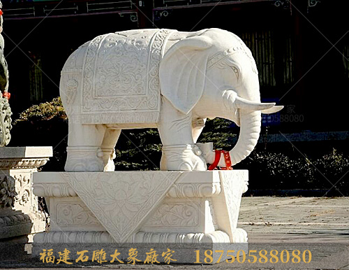 汉白玉石雕大象现身于青岛菩提寺