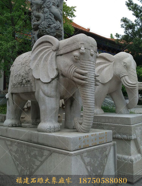 观寺庙石雕大象有感