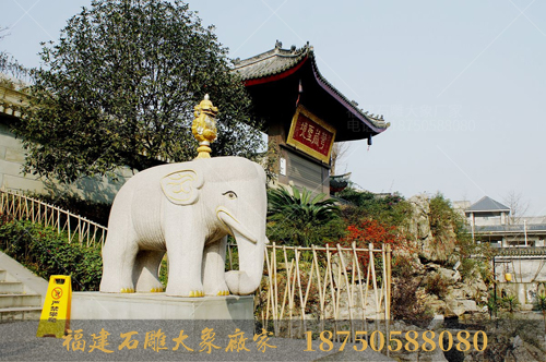 大佛禅寺里的石雕大象赏析