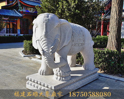 天津寺庙石雕大象长什么样？