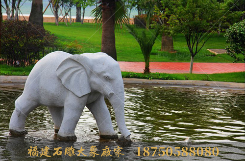 公园广场石雕大象高清图片集