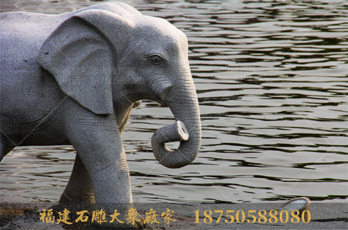 公园广场石雕大象高清图片集