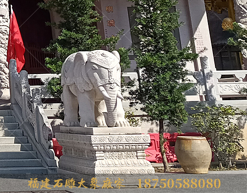 观厦门寺庙石雕大象造型有感