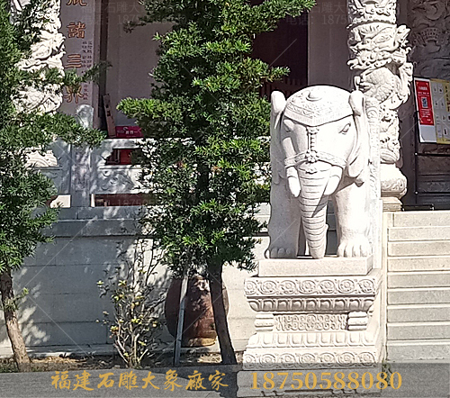 观厦门寺庙石雕大象造型有感