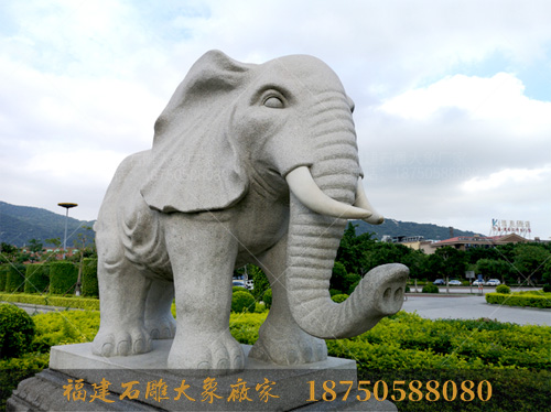 福建大型石雕厂周边广场上的石雕大象造型