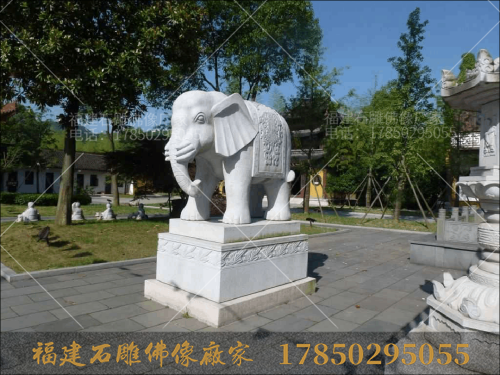 浙江寺庙石雕大象都去哪里购买？