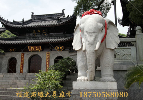 温州寺庙石雕大象观后感
