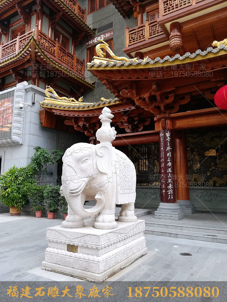 寺庙石雕大象为什么偏爱白色花岗岩石材？