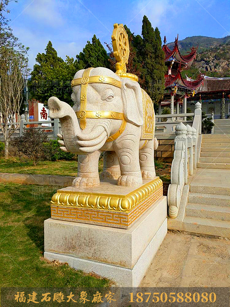 福建莆田的寺庙石雕大象图片欣赏