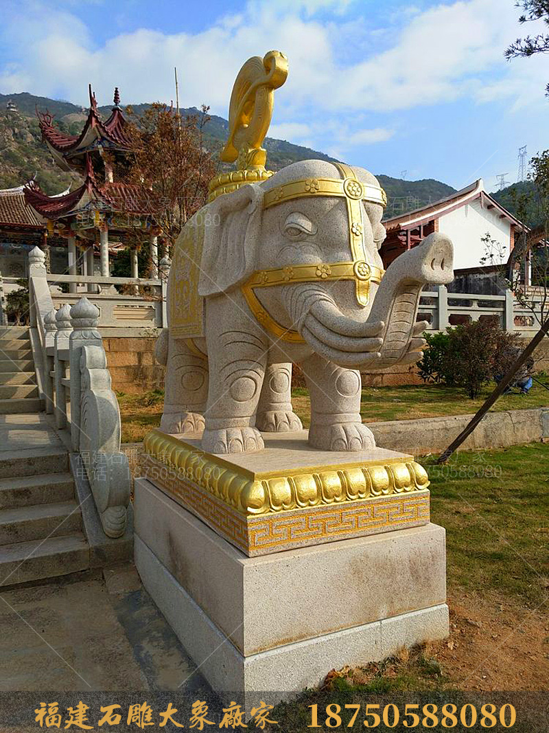 福建莆田的寺庙石雕大象图片欣赏