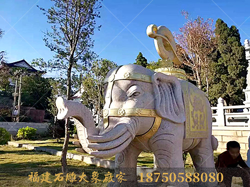 福建莆田的寺庙石雕大象图片欣赏