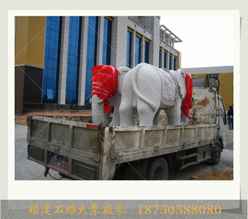 石雕大象在运输途中为什么要用红布遮盖？