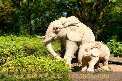 石雕大象可以摆放的场所有哪些？