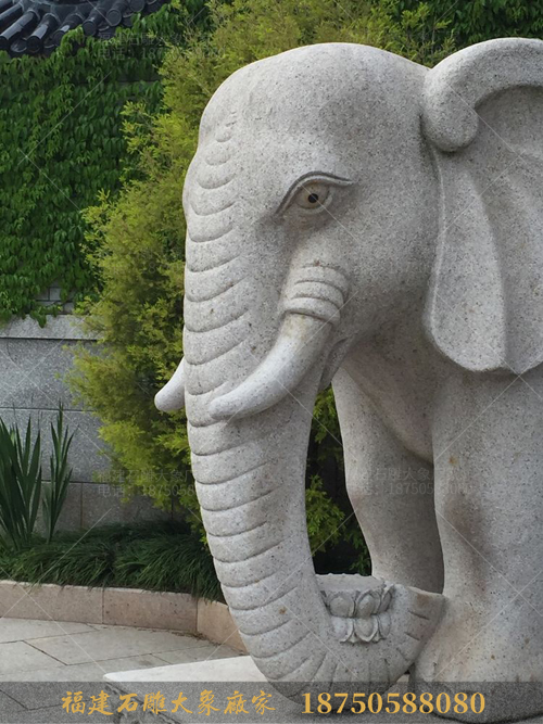 寺庙石雕大象鼻卷莲花造型寓意深刻
