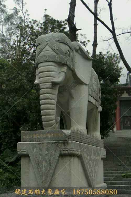 大型花岗岩石雕大象摆放在观音寺