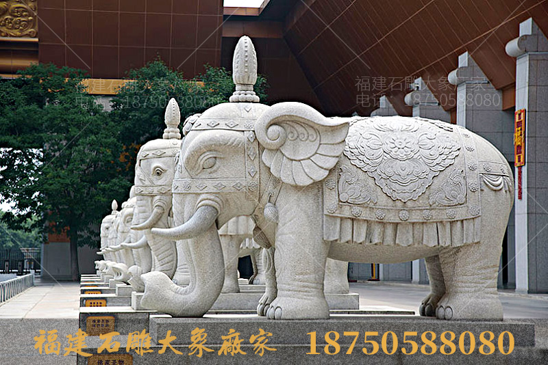 门口石大象鼻子朝向的区别