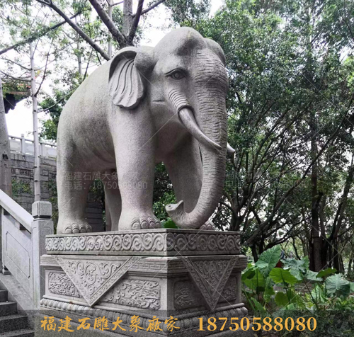 福建泉州西湖公园石雕大象图片欣赏