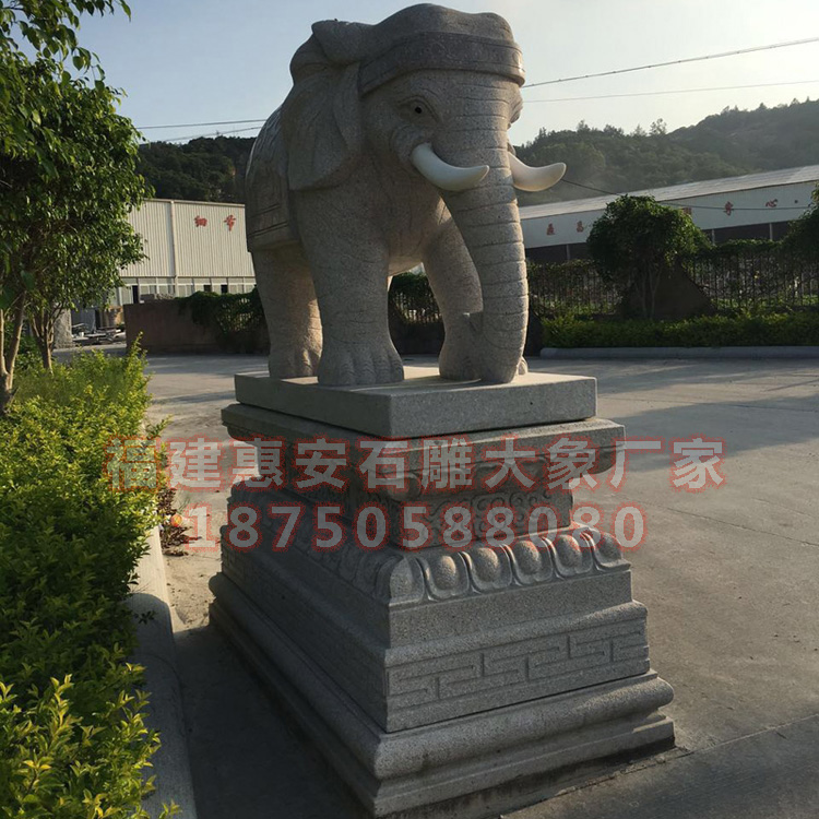 大型招财石象图片 石雕大型看门招财象,镇宅护院
